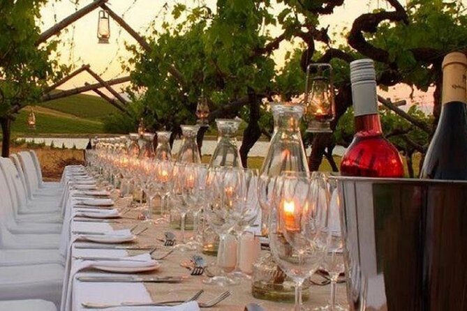 Dinner in the Vineyards - Vineyard Tour and Wine Tasting