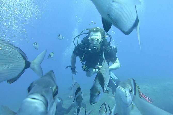 Discover Scuba Diving (2 Dives & Photos) - Activity Overview