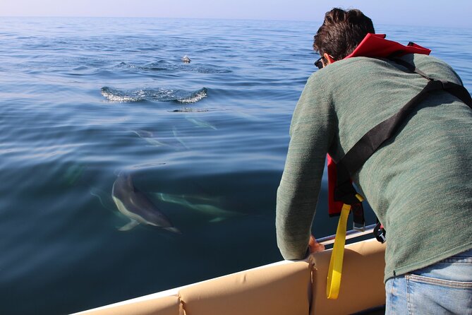 Dolphin Watching and Wildlife From Faro - Cancellation Policy