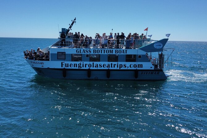 Dolphin Watching on a Catamaran in Fuengirola - Meeting and Pickup Information