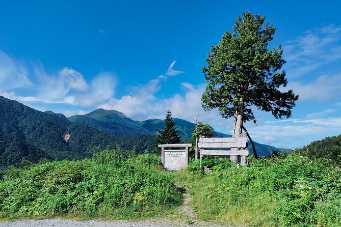 E Bike Rental in Takayama Gifu Mountain Cycling - Important Information