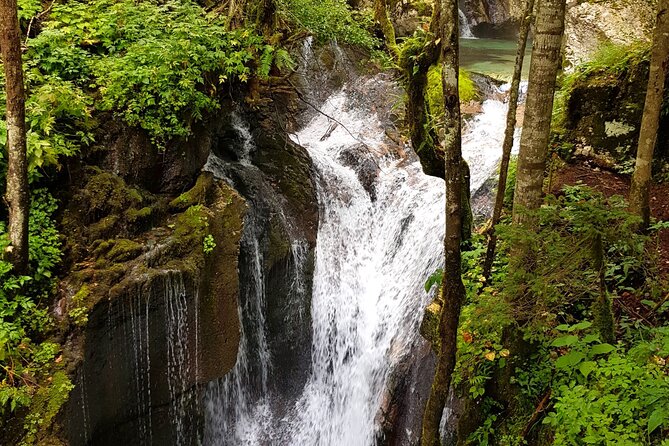 E-bike Tour to The Great Soča Gorge and Šunik Water Grove - Itinerary Details