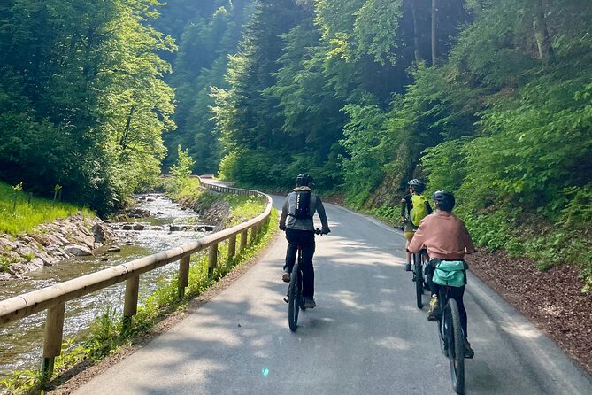 E-Bike Tour TržIč - Tour Highlights