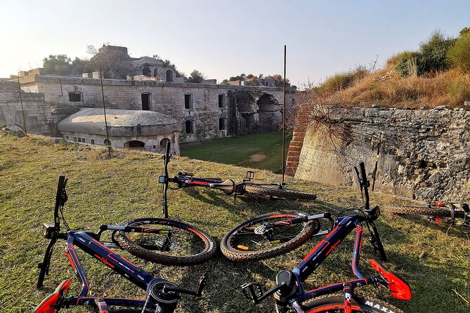 E Bike Tour With Wine and Olive Oil Tasting in Vodnjan - Tour Overview