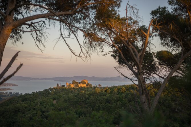 Easy Guided Ebike Tour With Photographer at Lake Trasimeno - Rental and Services