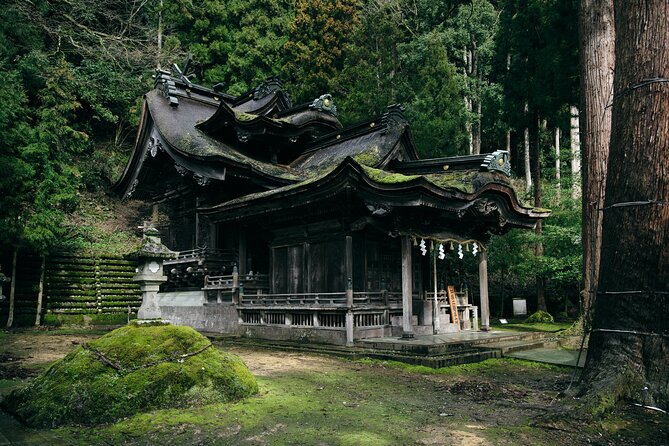 Echizen Lacquerware and Washi Paper Craft Tour - Price & Booking Details
