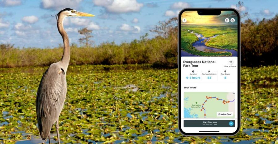 Everglades National Park: Audio Tour Guide - Good To Know