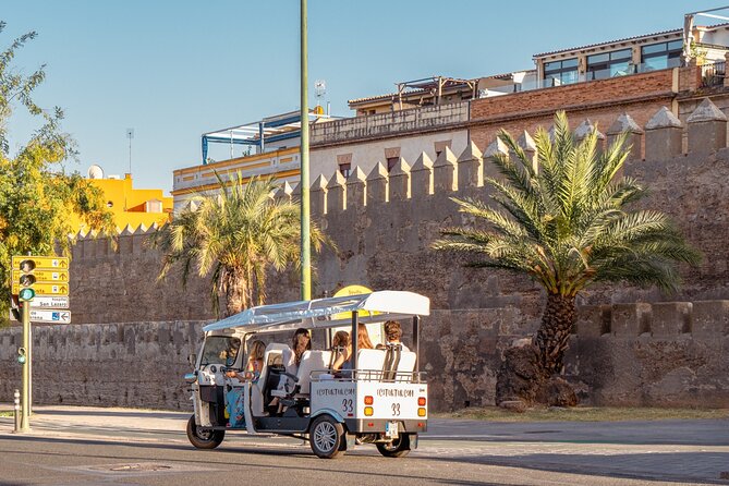 Expert Tour of Seville in Private Eco Tuk Tuk - Winter Tuk-Tuk Features