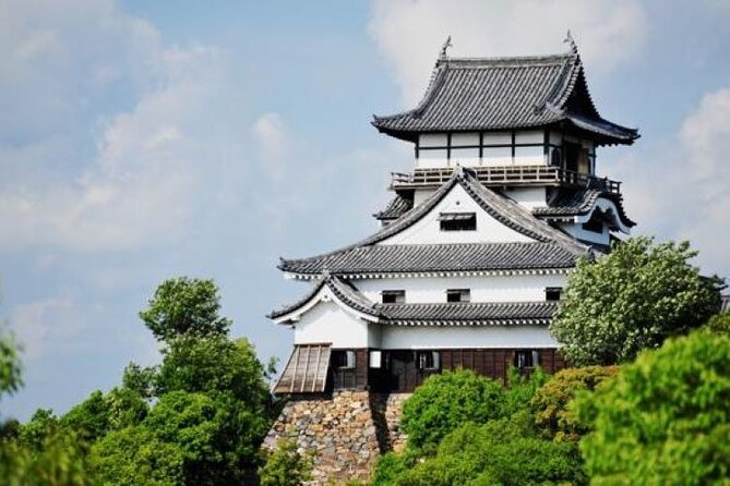 Explore-Castles Tour in Samurai City Aichi Using Local Train - Train Route Details