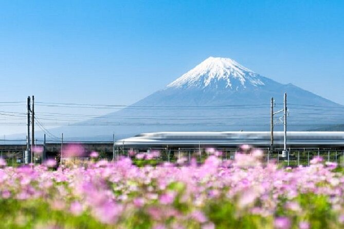 Feel Mt Fuji and Sake Tasting Private Tour From Shin Fuji Station - Frequently Asked Questions