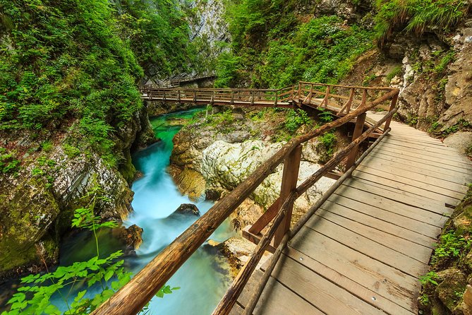From Bled: Self-Guided E-Bike Tour to Vintgar Gorge - Tour Highlights
