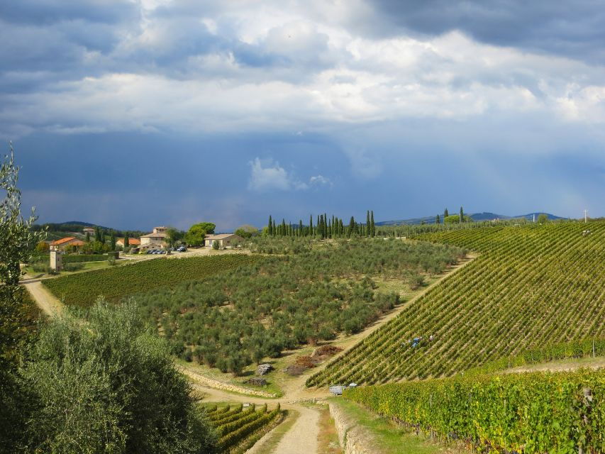 From Florence: Private Siena Day Trip With Transfers - Itinerary