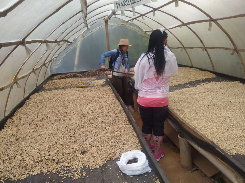 From Medellin: Private Guatape Car Tour With Coffee Tour - Tour Details