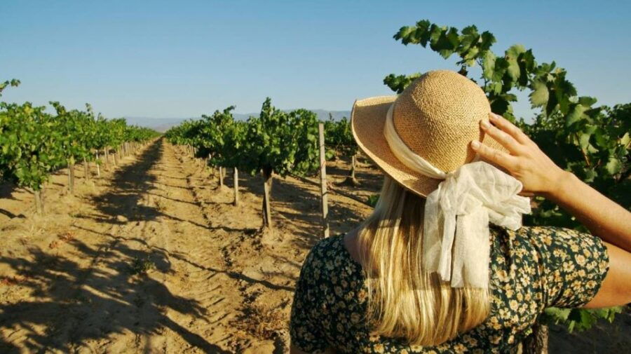 From Palermo: 5-Day Food, Wine, and Culture West Sicily Tour