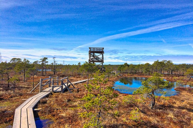 From Riga: Best of Kemeri National Park In One Day - Nature Exploration