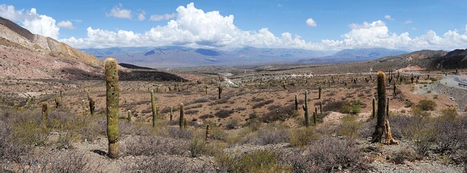 From Salta: Full-Day Tour to Cachi and Los Cardones National Park - Tour Itinerary and Highlights