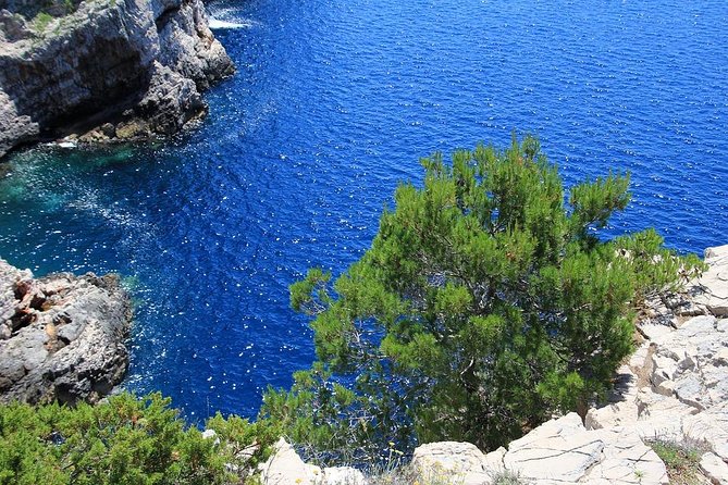 From Zadar: Kornati National Park Day Trip With Breakfast & Lunch - Meeting Point and Logistics
