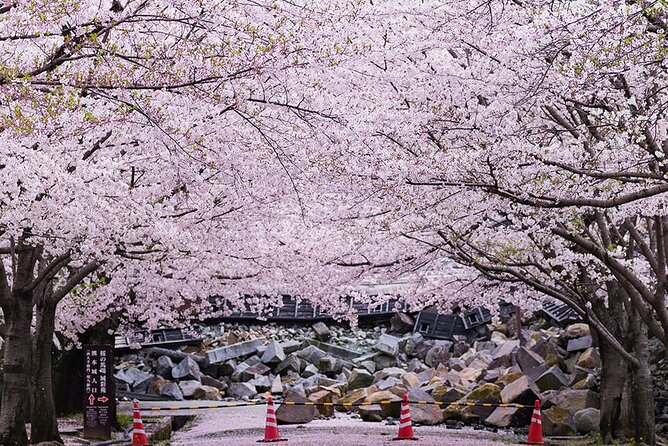 Full Day Charter Bus Private Tour in Kumamoto and Asakura - Tour Details
