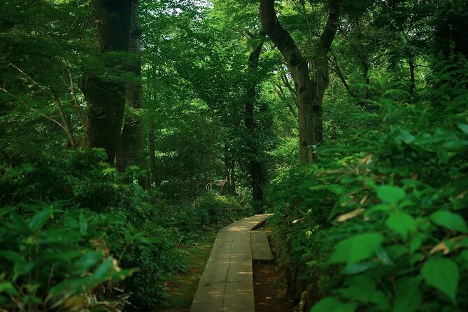 Full Day Private Hiking Tour in Mt. Takao - Meeting Point