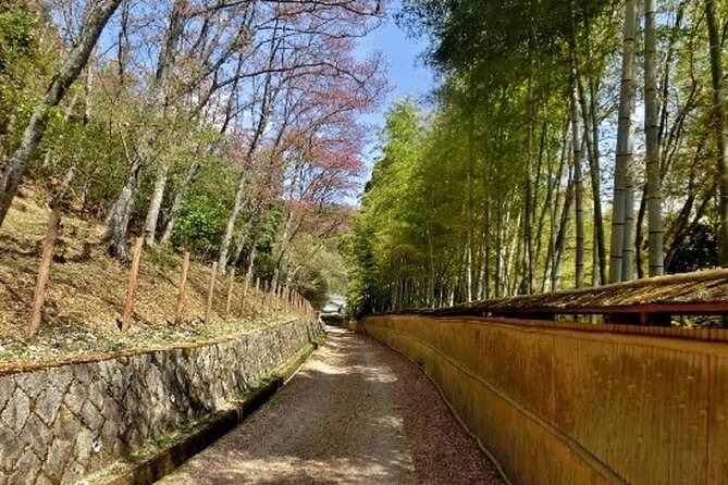 Full Day Private Walking Day Tour in Kyoto With Tea - Meeting and Pickup Information
