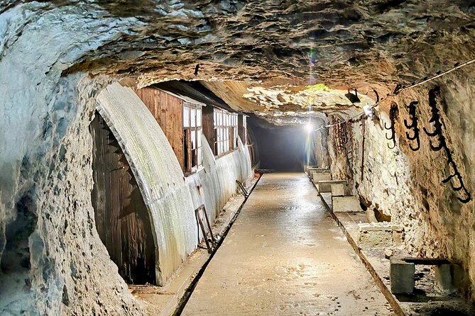 Full Day Tour to Gibraltar From Torremolinos or Benalmádena - What To Expect