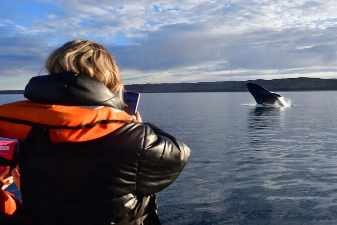 Full Day Whale Watching From Puerto Madryn - Inclusions and Exclusions