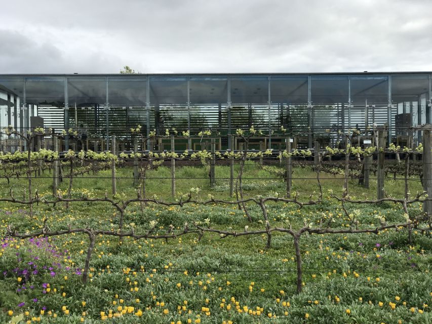 Full Day Wine Tour Stellenbosch and Franschhoek