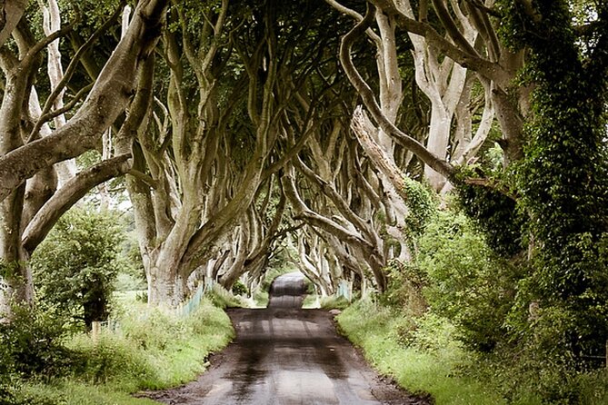 Game of Thrones Private Tour From Portrush Area - Transportation Details