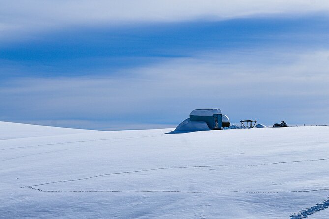 Gudauri Adventures - One Day Private Tour to Gudauri Ski Resort - Important Information for Participants