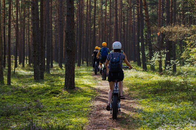 Guided Ebike Tour on Forest Roads and Trails Near Riga - What To Expect