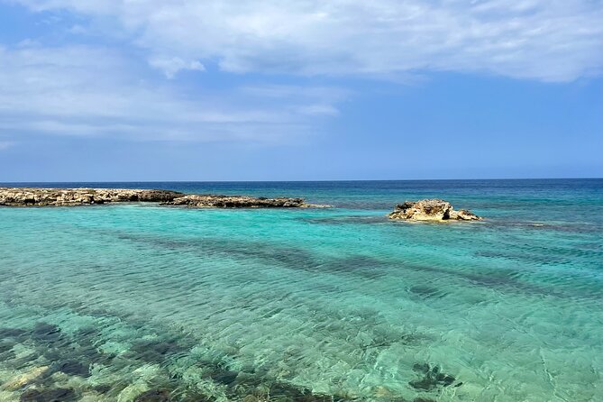 Guided Snorkeling Trip to See the Turtles - Snorkeling Equipment Provided