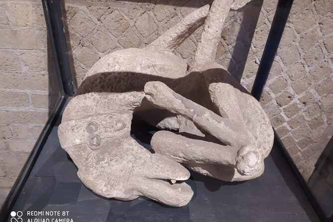 Guided Tours of Pompeii Excavations Historical and Cultural Itineraries - Tour Highlights