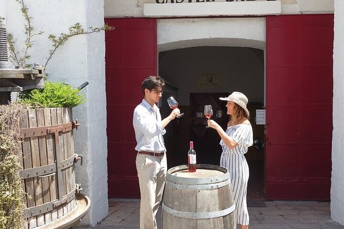 Guided Wine Tasting In Puglia - Activity Details