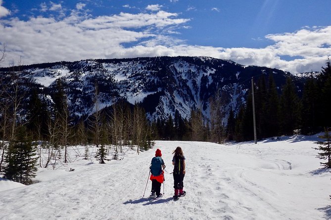 Guided Winter Wonderland Snowshoeing Adventure From Prague - Tour Details
