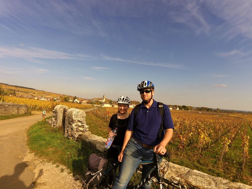 Half Day Bike & Wine Tour in Burgundy