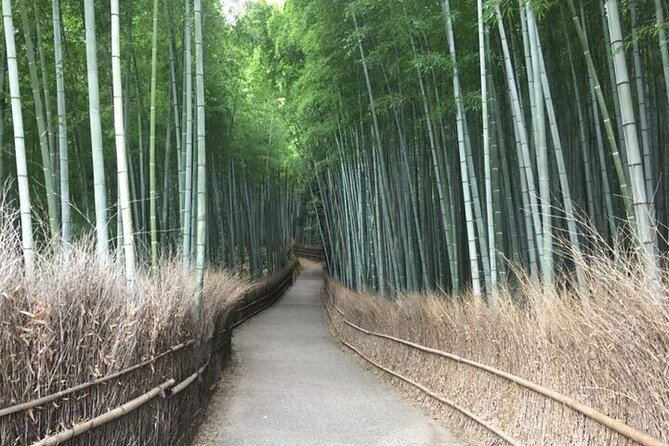 Half-Day Private Guided Tour in Kyoto, Arashiyama - Meeting Details