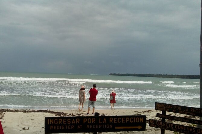 Half-Day Wildlife Hiking Tour of Cahuita National Park - Reviews