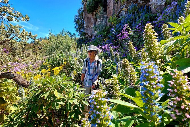 Hiking in the Green Gran Canaria - Stunning Views Along the Routes