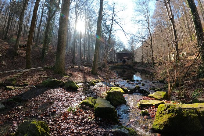 Hiking Medvednica & Medvedgrad Castle - Itinerary Details
