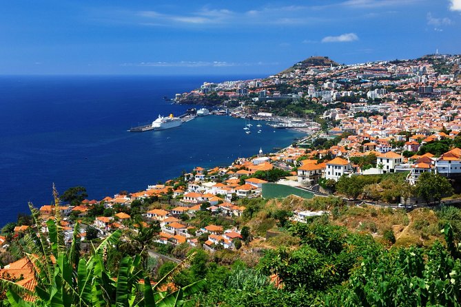 Hop-on Hop-off Bus Tour and Catamaran Whale & Dolphin Watching - Additional Information