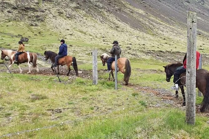 Horse Riding Tour in Reykjadalur (Smoky Valley)-All Riding Levels - Tour Inclusions