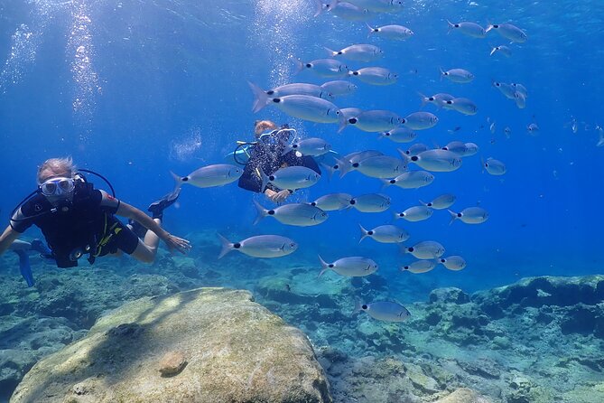 Introductory Diving in Small Groups - Benefits of Diving in Small Groups