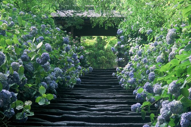 Kamakura Temples and Enoshima Private Tour - Cancellation Policy