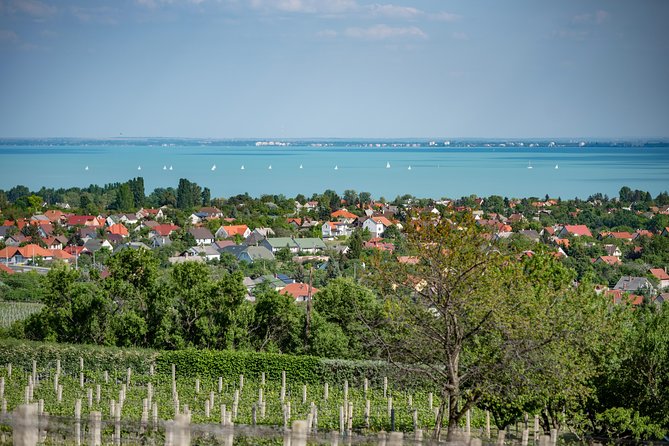 Lake Balaton Full Day Private Wine Tour - Tour Details