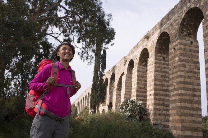 Larnacas Splendors: From Ancient Echoes to Wine - Ancient Ruins and Archaeological Sites