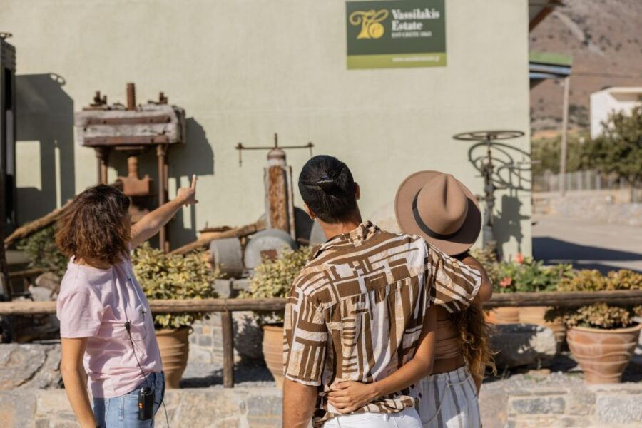 Lasithi: “Discover Crete” Wine Tasting With Olive Mill Tour - Good To Know