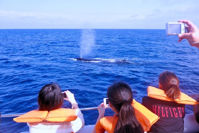 [Limited Time] From Onna Village (Maeda Fishing Port)! Whale Watching｜Completely Reserved Boat Charter Plan (4 Hour Course) - Location and Meeting Point