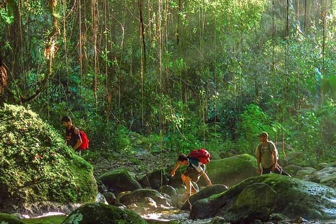 Lost City Trek (Ciudad Perdida) - 4 Days - From Santa Marta or Taganga - Customer Reviews