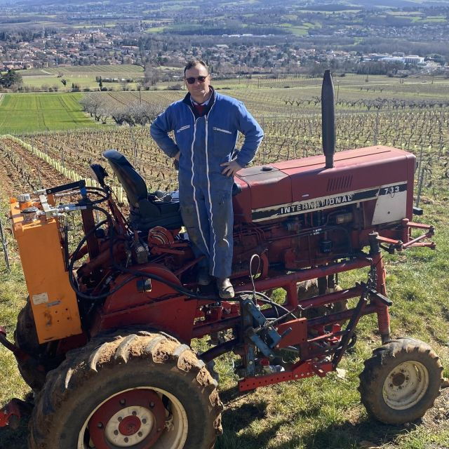 Lyon & Beaujolais: Walking Tasty Tour With a Local (Train)