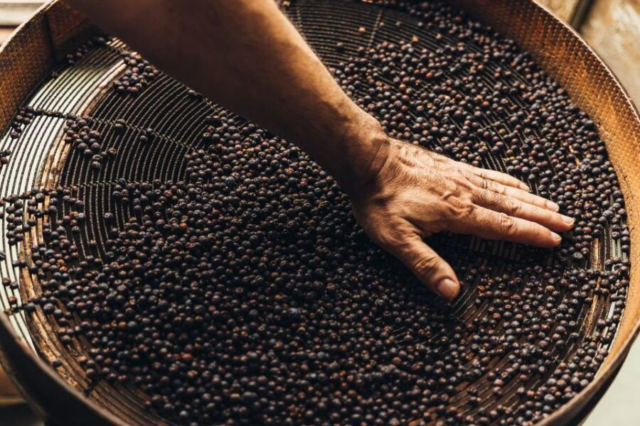 Mahón: Gin Distillery Tour With Tasting & Appetizers - Good To Know